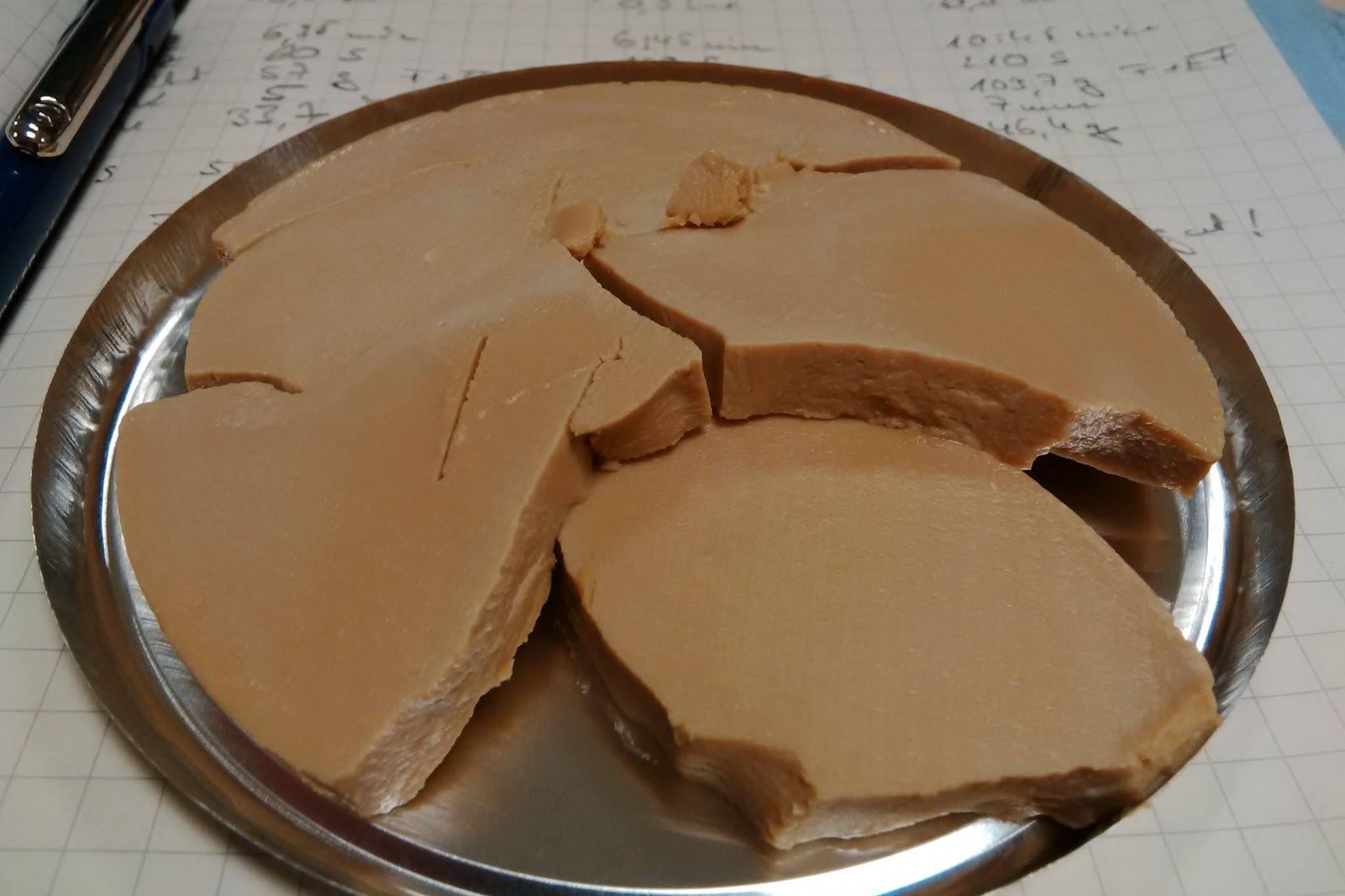 Sectioned filter cake sample on a stainless dish resting on a handwritten BHS lab test data sheet